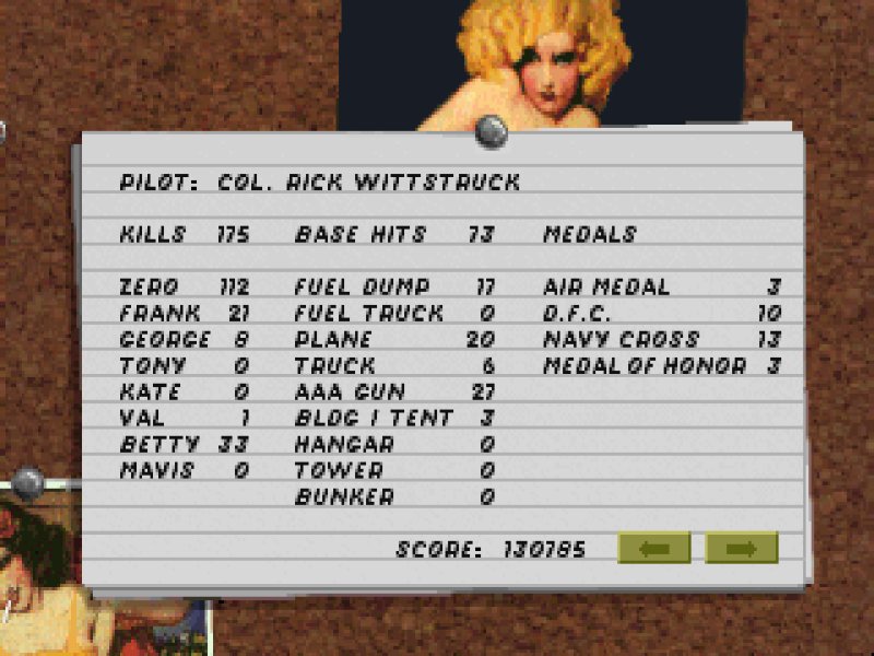 Pilot statistics 1