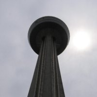 Human erection icon
