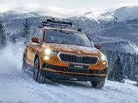 Skoda Karoq icon