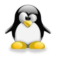 Linux NTFS driver tutorial
