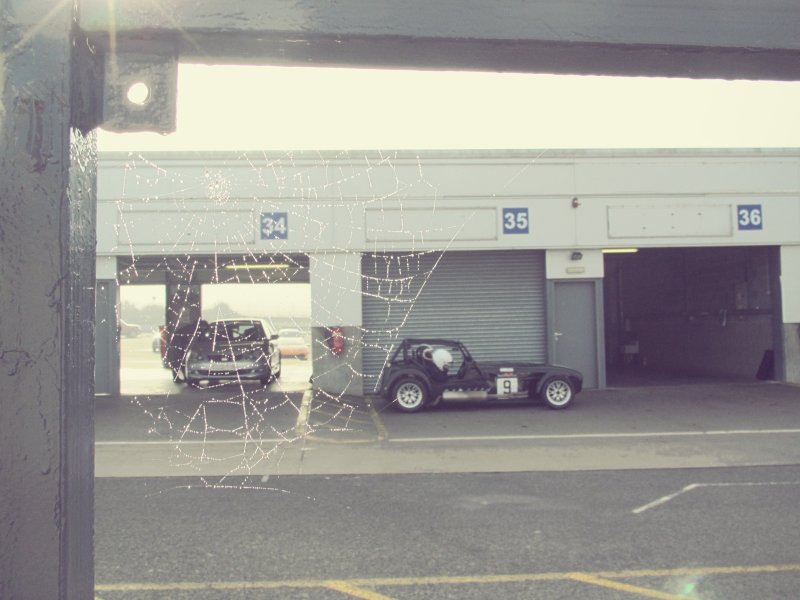Cobweb, dramatic